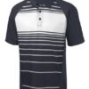 Sport Men's Dry Zone® Sublimated Stripe Polo