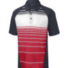Sport Men's Dry Zone® Sublimated Stripe Polo - Image 5
