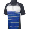 Sport Men's Dry Zone® Sublimated Stripe Polo - Image 4